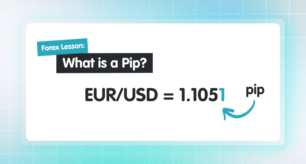 What is pip in forex? How to calculate profit in pips?